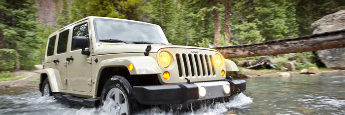 <h1><strong>Safety Backs You, Freedom Leads You.</strong></h1>