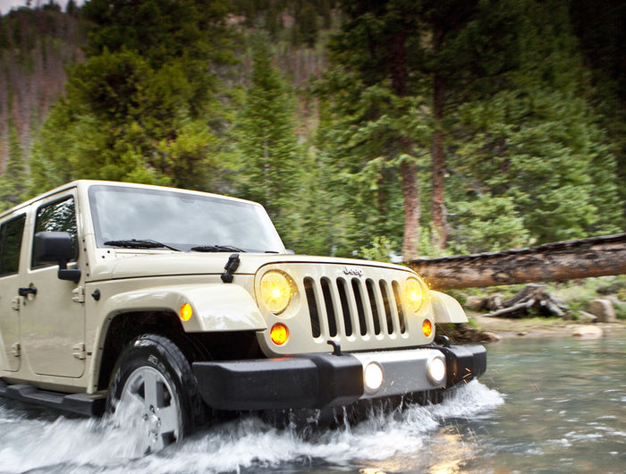 <h1><strong>Safety Backs You, Freedom Leads You.</strong></h1>