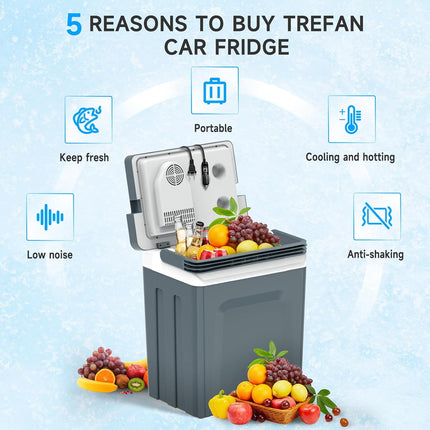 25L Portable Electric Compressor Refrigerator Cooler 10V/12V