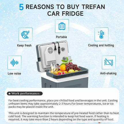 TopAutoGear 30L/31QT Portable Electric Cooler Grey